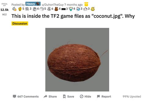 coconut jpg tf2|this is a very serious question. where can I find the coconut.jpg in .